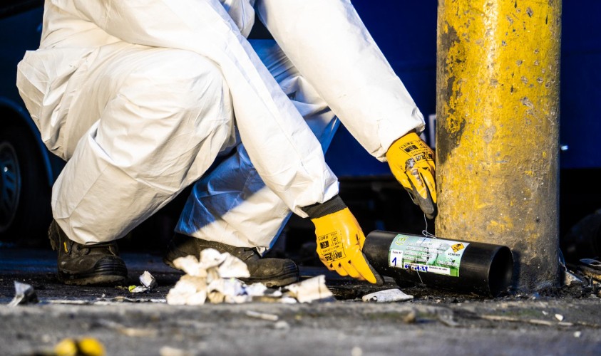 desratizacion-procesos-y-beneficios