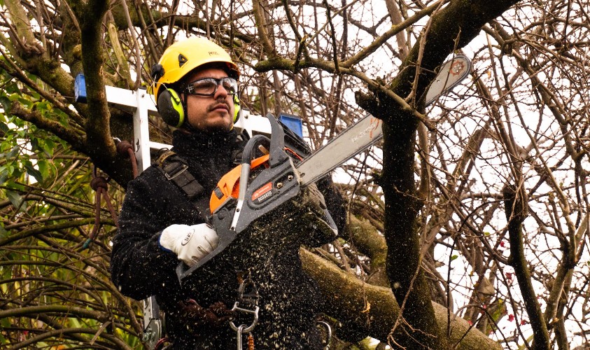 mantencion-de-areas-verdes