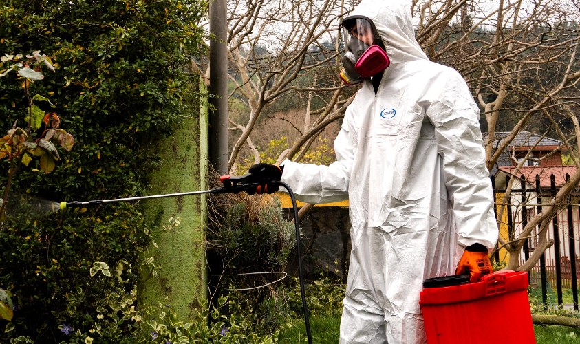 fumigacion-procesos-y-beneficios