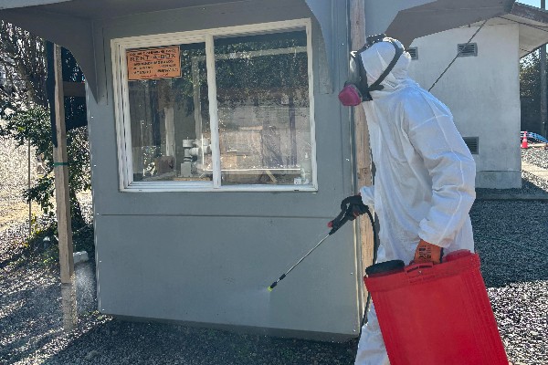 fumigacion-profesional